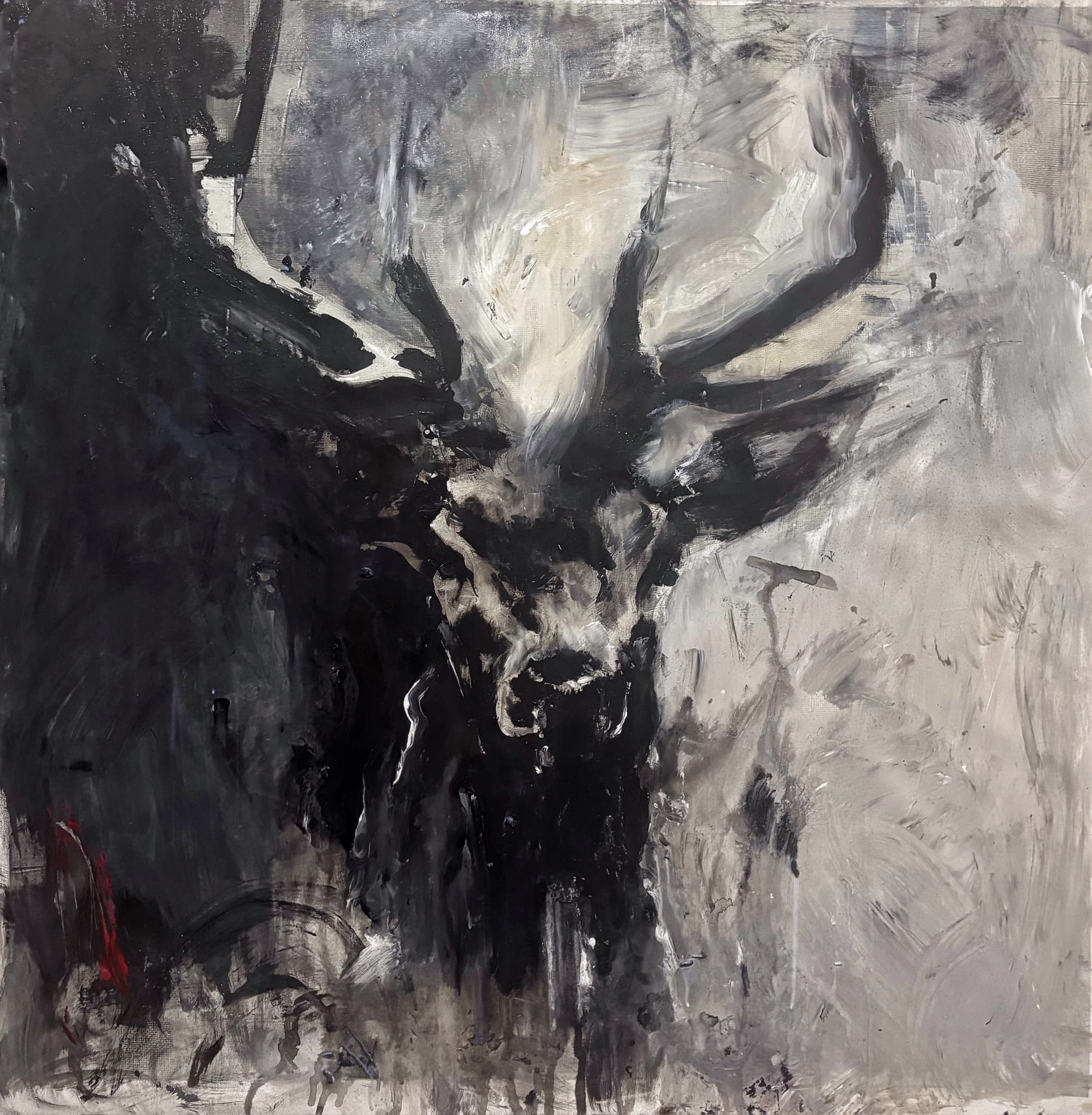 Deer