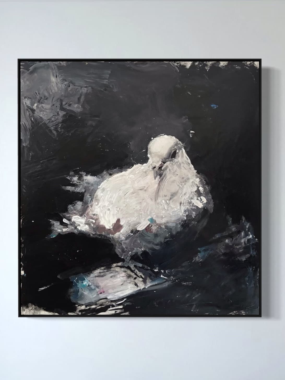 White Dove