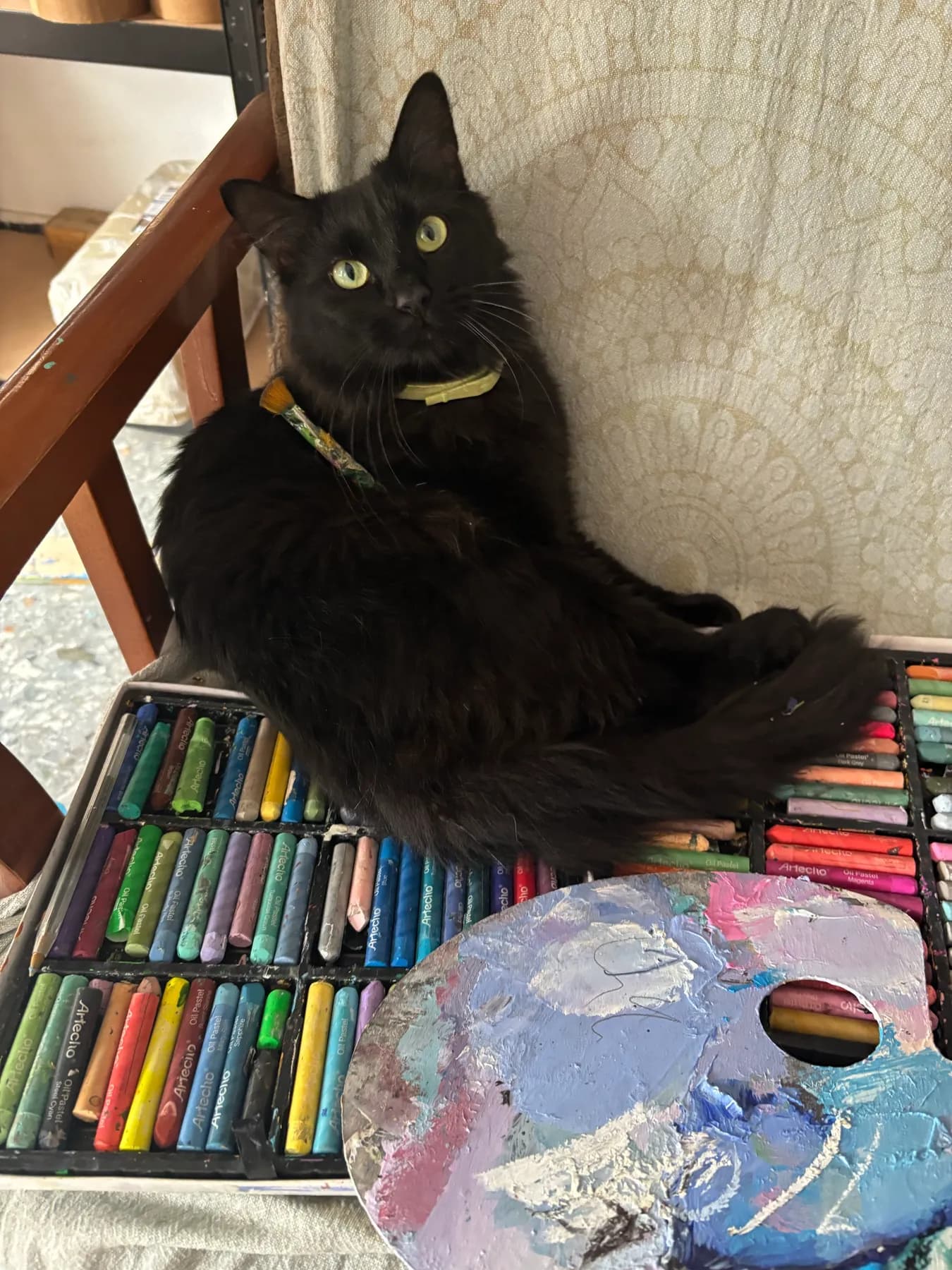 Peluso, our painter cat, among coloured pastels and a palette.